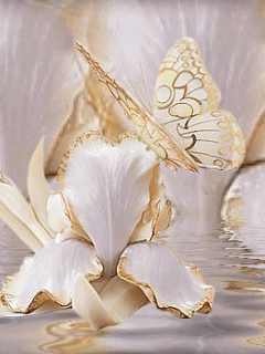 flowers 24.gif